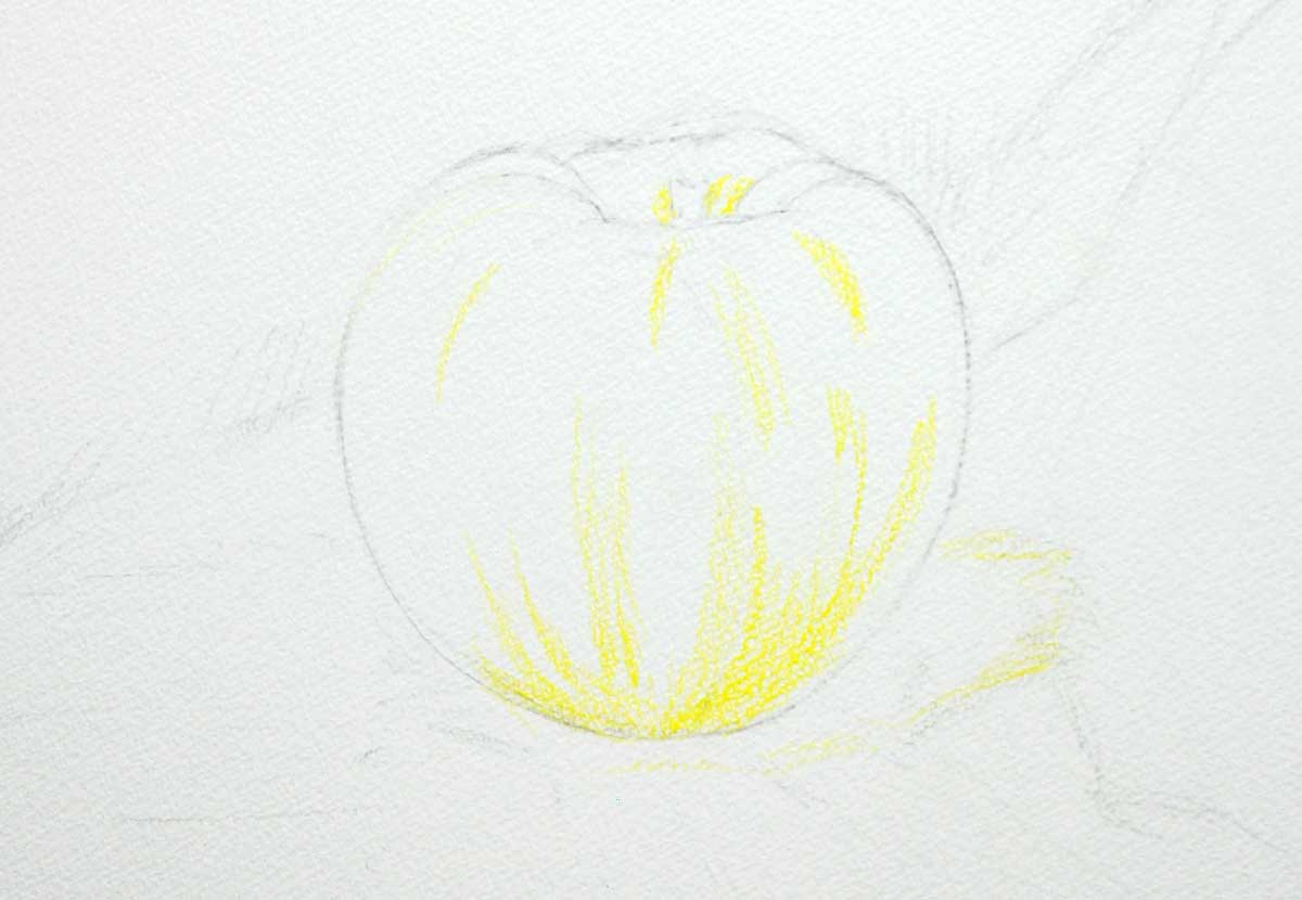 りんご色鉛筆デッサン制作手順 でなおしデッサン塾